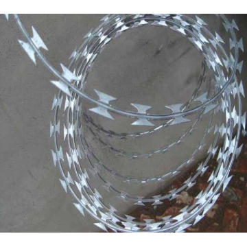 Razor Barbed Wire for Mesh Fence